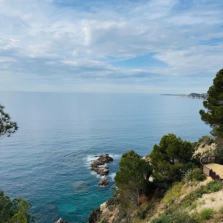 Studio Acapulco Λορέτ Ντε Μαρ Εξωτερικό φωτογραφία